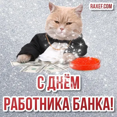 Прикольная открытка с Днём Банковского работника, с котиком • Аудио от  Путина, голосовые, музыкальные