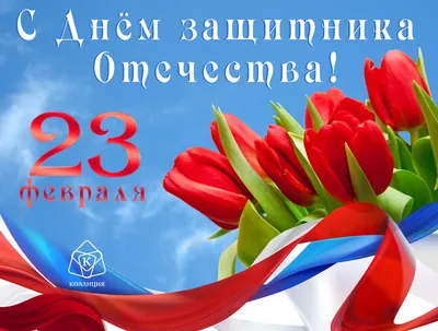 С Днём защитника Отечества! - Общественная палата Кировской области,  официальный сайт