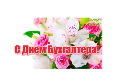 21 ноября день бухгалтера в России картинка (открытка)