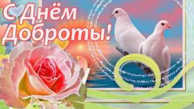 Поздравляем с Днём добра и уважения!