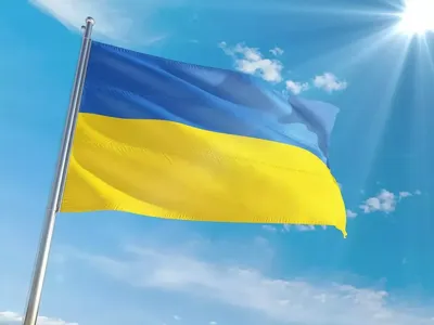 С Днем Государственного флага Украины! | Духовное управление мусульман  Украины