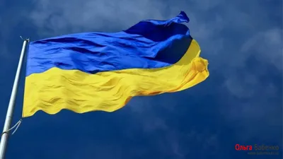 23 августа в истории Украины и мира - День государственного флага - Газета  МИГ