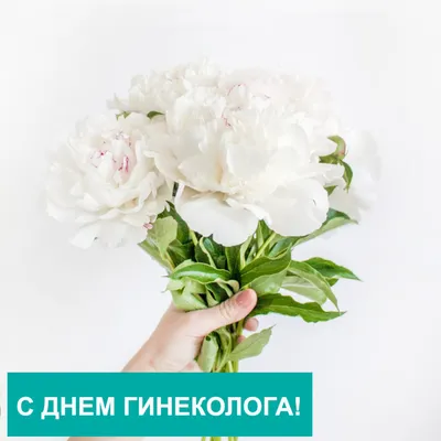 15 июля — Всероссийский день гинеколога!