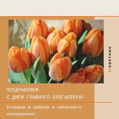 День главного бухгалтера