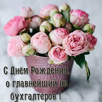 Яркая открытка с Днём Главного Бухгалтера, с пожеланием • Аудио от Путина,  голосовые, музыкальные