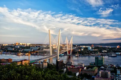 День города во Владивостоке отметят без массовых мероприятий - Российская  газета
