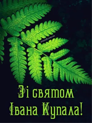 С Днем Ивана Купала! Новые улетные открытки и поздравления в праздник 7  июля | Весь Искитим | Дзен