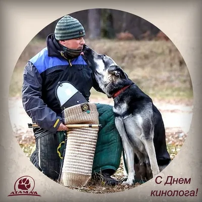 🏵Alabai_Kangal_Bulldog_Chihuahua_Kennel🏵 on Instagram: \"С Днём Кинолога!  🐶 🇷🇺 Питомник среднеазиатских, кавказских овчарок, кангалов и чихуахуа  (FCI - RKF) \"С СЕВЕРНОГО УРАЛА\" @uralsao ✔️ Самая полная информация всегда  на сайте питомника http ...