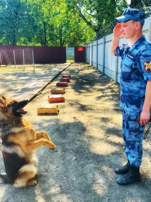 Удомельский городской округ - 21 июня – День кинолога!