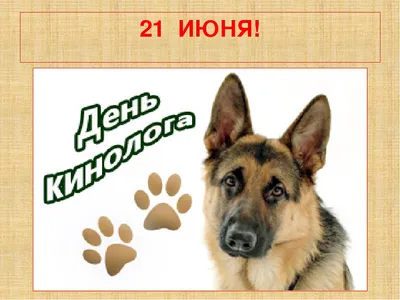 Соотечественники в Катаре - День кинолога (21 июня) – это праздник,  посвященный четвероногим питомцам и людям, охраняющим нашу жизнь и  безопасность. Правильное название «День кинологических подразделений МВД  России». В России практиковать службу