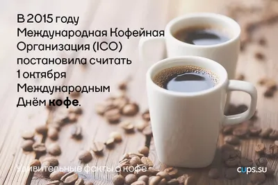 С Днем кофе, какао и шоколада 2021: яркие поздравления, видео и открытки |  FoodOboz