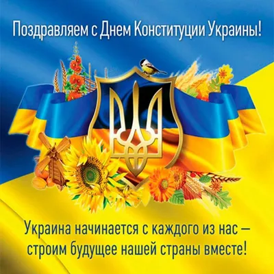С Днем Конституции Украины! — статьи от Dolya
