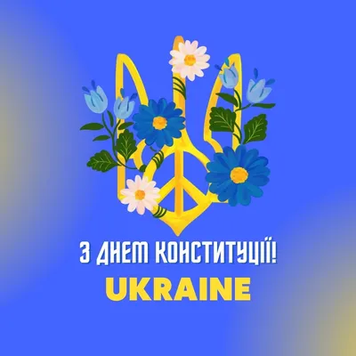 С Днем Конституции Украины!