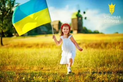 Весы Аксис Украина » С Днем Конституции Украины!