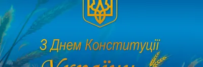 С днем Конституции Украины! // Харьковский аэроклуб им. В.С. Гризодубовой  ОСОУ