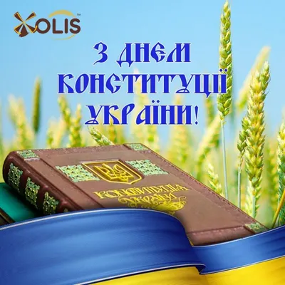 День Конституции Украины 2022: поздравления в стихах, прозе и открытках