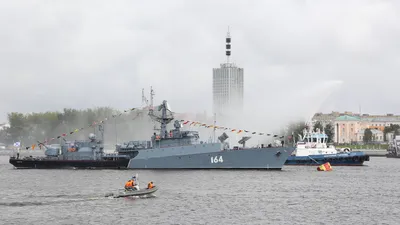 В Подмосковье учреждён казачий Годуновский отдел конвоя памяти Императора |  Общество и Экология