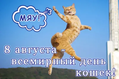 Sputnik Moldova: новости в Молдове и мире - 🐈 Всемирный день кошек (World  Cat Day) отмечается ежегодно 8 августа по инициативе Международного фонда  по защите животных «Animal Welfare», не только с целью