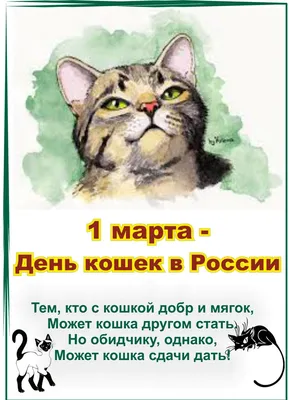 Пушистые домоседы... 8 августа Всемирный день кошек... Музыка Сергея  Чекалина - YouTube