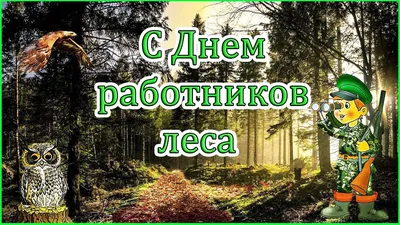 17 сентября 2017 года - День работников леса | Общество лесоводов