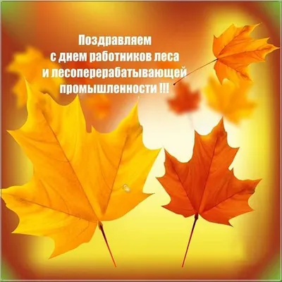 19сентября-День работников Леса и Лесоперерабатывающей промышленности.... |  TikTok