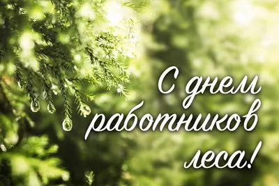 17 сентября – День работников леса и лесоперерабатывающей промышленности -  Сайт национального парка \"Смоленское поозерье\"