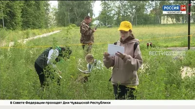 День работников леса картинки, открытки, поздравления. Скачать