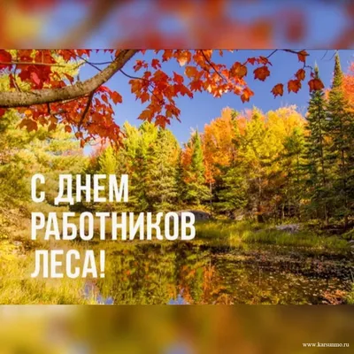 Дмитрий Скобликов: Поздравляю работников лесного хозяйства и ветеранов  отрасли с профессиональным праздником - Днем работников леса! - Лента  новостей Крыма