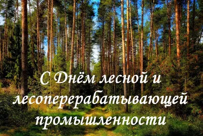 Поздравление с профессиональным праздником – Днём работников леса