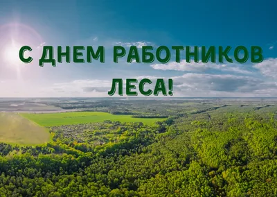 Ерлан Нысанбаев поздравил граждан с Днем работников лесного хозяйства -  el.kz