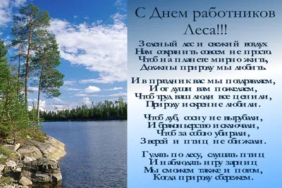 С Днем работников лесного хозяйства! | 18.09.2023 | Новости Тулуна -  БезФормата