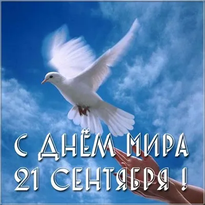 Привітання в. о. Голови Держгеокадастру Сергія Завадського з Міжнародним днем  миру – Державна служба України з питань геодезії, картографії та кадастру