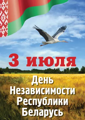 Поздравление председателя бобруйского горисполкома Александра Студнева с Днем  Независимости Республики Беларусь — Бобруйский новостной портал Bobrlife