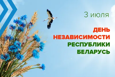 Поздравление Ректора БНТУ с Днем Независимости Республики Беларусь –  Белорусский национальный технический университет (БНТУ/BNTU)