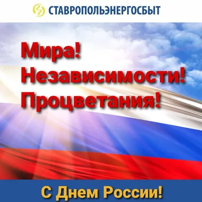 День России. День независимости. 12 июня. Бурый медведь в шапке-ушанке на  Красной Площади в Москве. Салют над Собором Василия Блаженного Stock Photo  - Alamy