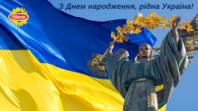 City 24: Поздравляем с Днем Независимости Украины!