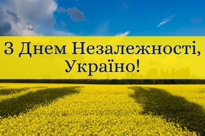 С Днём Независимости Украины! - АЛЬФАТЕКС