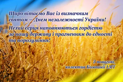 С Днем Независимости Украины - поздравление военным - как поблагодарить  защитников - смс и картинки