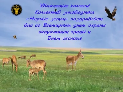 ВСЕМИРНЫЙ ДЕНЬ ОХРАНЫ ОКРУЖАЮЩЕЙ СРЕДЫ – ГАПОУ КО \"Калужский КОЛЛЕДЖ  ЭКОНОМИКИ И ТЕХНОЛОГИЙ\"