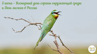 Всемирный день охраны окружающей среды - Александровское, Ставропольский  край