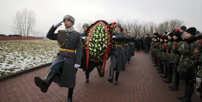 Освобождение Ростова-на-Дону от немецкой оккупации 14 февраля 1943 года:  Герои, факты, события