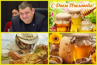 Вафельная картинка \"Мёд. Пчёлы. Пасека. Для пасечника\" (А4) купить в Украине