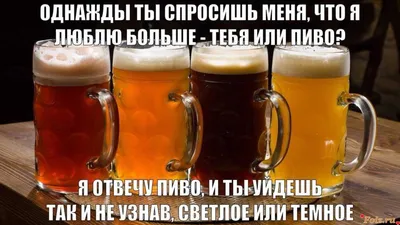 🍺 МЕЖДУНАРОДНЫЙ ДЕНЬ ПИВА🍺 А вы знали, что сегодня 5 августа отмечается  международный день пива?🍻 Этот праздник отмечается ежегодно… | Instagram