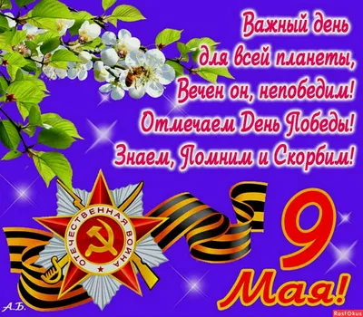 9 мая! День Победы! - Ошколе.РУ