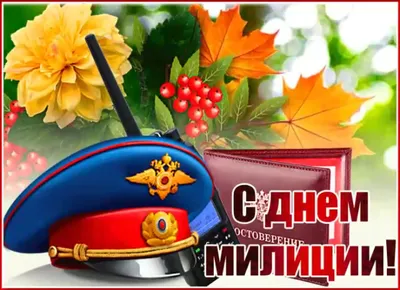 10 ноября - День милиции. С праздником, милиционеры! #10ноября#деньмил... |  TikTok