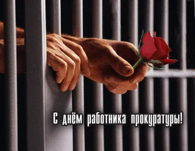 День прокуратуры в Украине 1 декабря - картинки, открытки и гиф