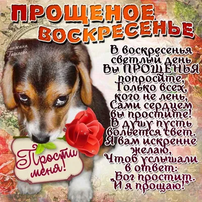 Сегодня – прощеное воскресенье. Что обязательно нужно сделать в последний  день перед Великим постом?