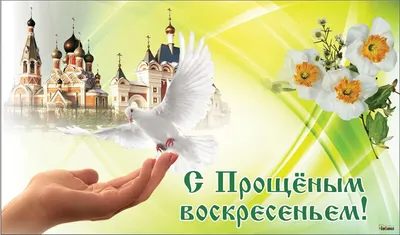 Сегодня 6 марта - Прощеное Воскресенье! ❤ | Открытки Поздравления с Днем  Рождения на день | ВКонтакте