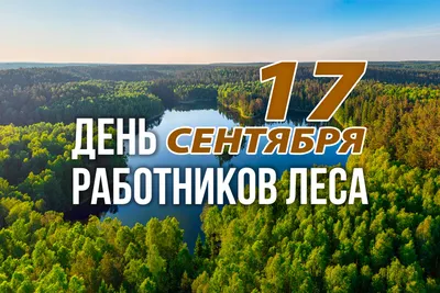 Дума Ставропольского края - 19 сентября – День работников леса и  лесоперерабатывающей промышленности