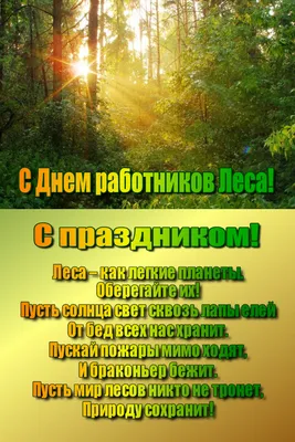 День работников леса! — Институт Экспериментальной Ботаники НАН Беларуси